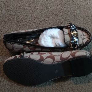 Shoe